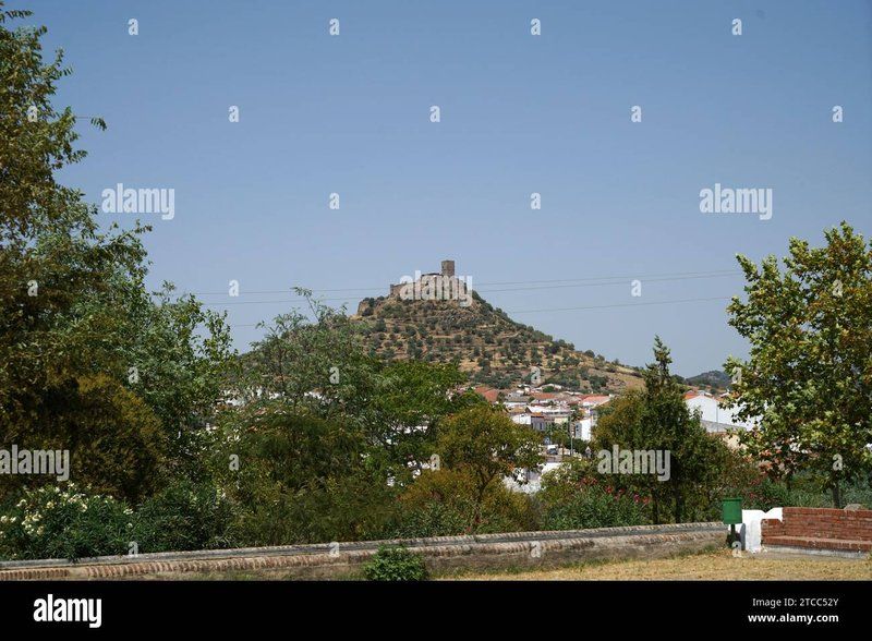 Best chicken road oficial in Spain